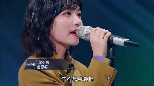 王子川猫力个人资料,揭秘网红猫咪背后的魅力人生